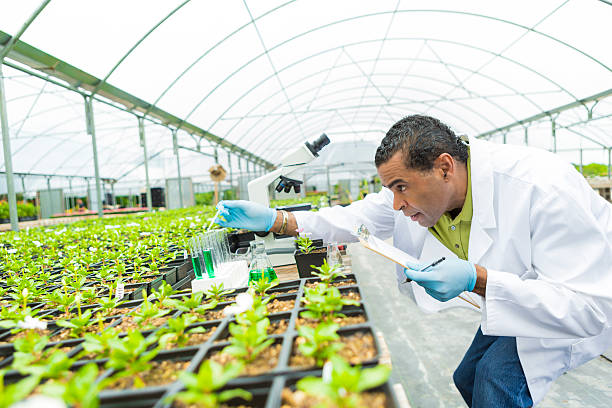 Senior scientst studies plant life in greenhouse