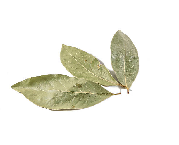 istock Dry bay leaves isolated on white background 611892468