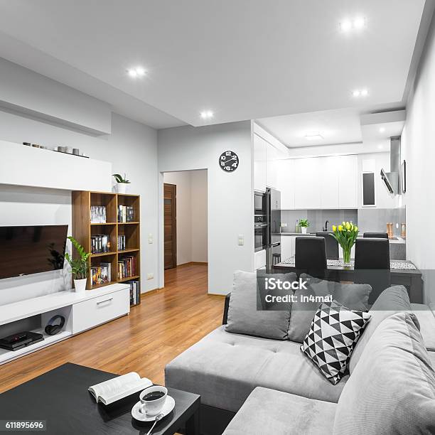 Trendy Open Floor Plan Idea Stock Photo - Download Image Now - Apartment, Indoors, Small