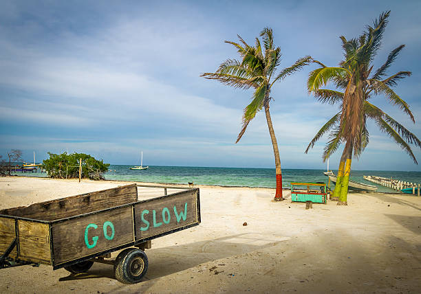 Wood Cart with Go Slow message