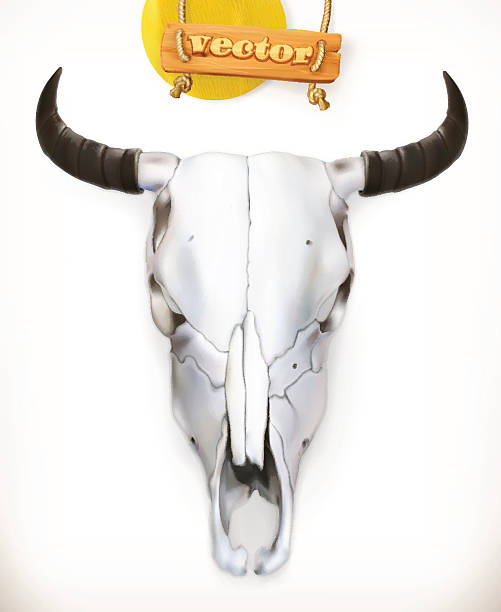 коровий череп. западное приключение. значок 3d вектора - animal skull cow animals in the wild west stock illustrations