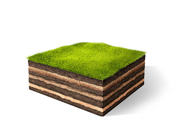 istock Cross section of little island. 3D rendering 611902366