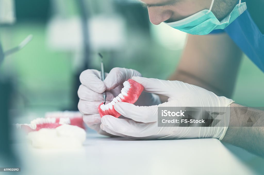 Dental prosthesis, dentures, prosthetics work. Dental prosthesis, dentures, prosthetics work. Dental students while working on the denture, false teeth, a study and a table with dental tools. Dentures Stock Photo