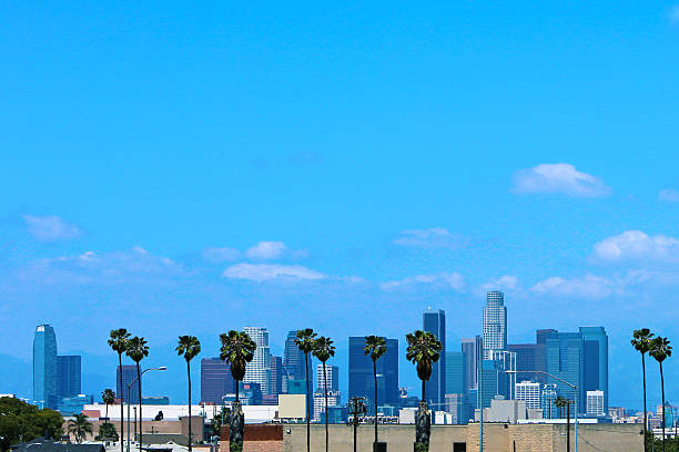 Los Angeles Skyline Palm Trees