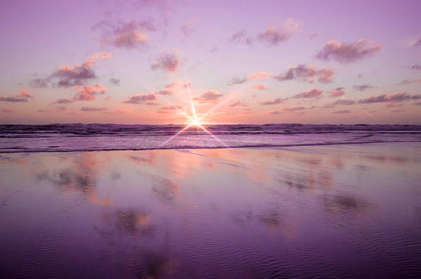 fioletowy zachód słońca z flarą - murawai beach zdjęcia i obrazy z banku zdjęć