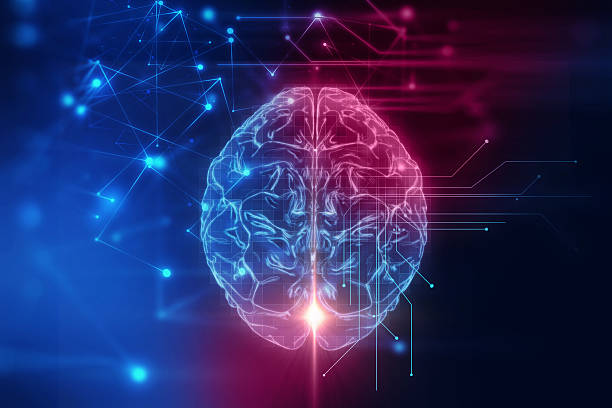 기술 배경에 인간의 두뇌의 3d 렌더링 - 지혜 일러스트 뉴스 사진 이미지