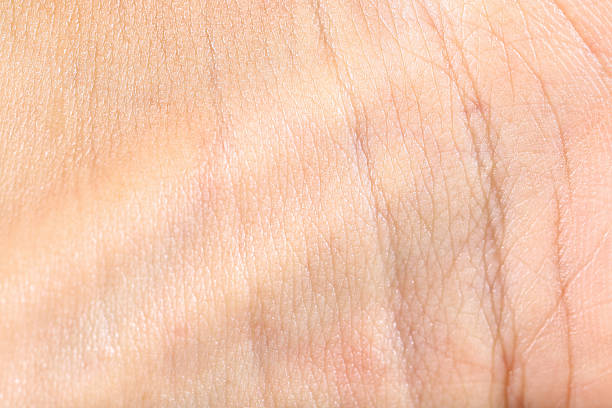 istock skin texture at wrist and palm for pattern and background 611992842