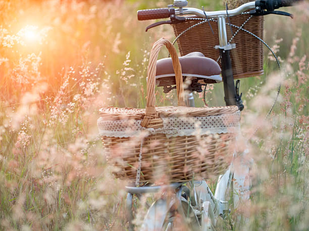 istock Bicycle with basket of flowers in meadow 611993256