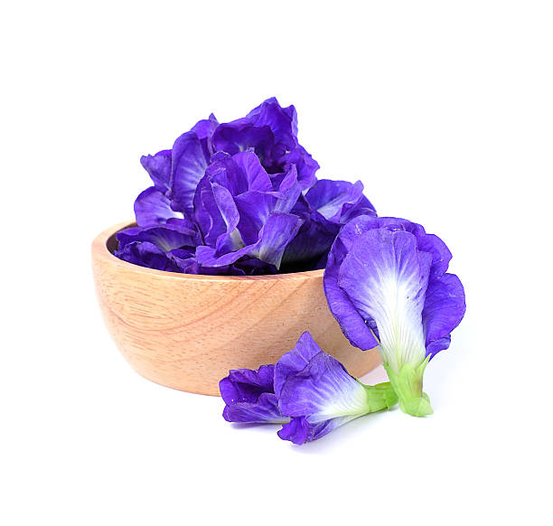 istock Blue pea or butterfly pea close up on white 611998098