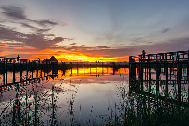 istock Wooden Bridge in lotus lake on sunset time 612001994