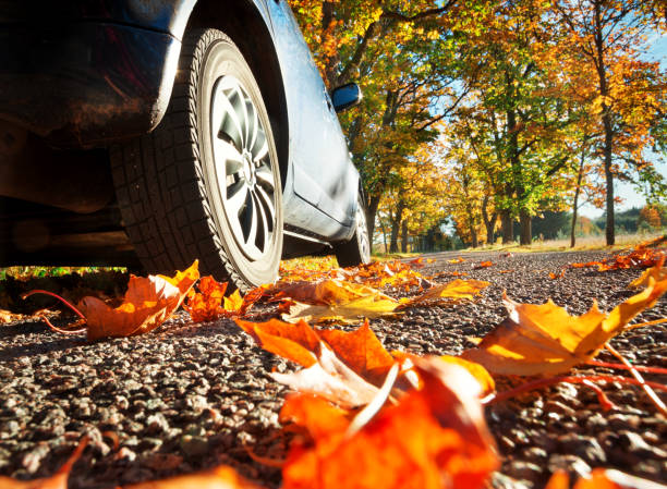 istock Car on asphalt road in autumn 612003124