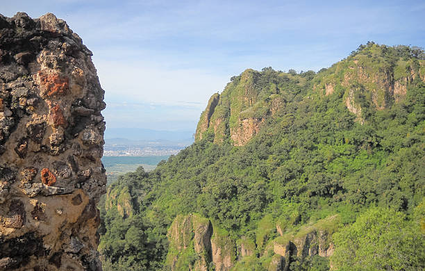 istock Forest near Tepoztlan in Mexico 612004824