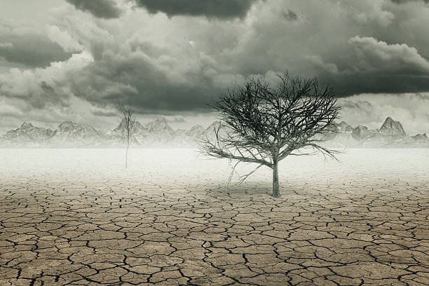 3d rendering of dry soil landscape with trees and clouds