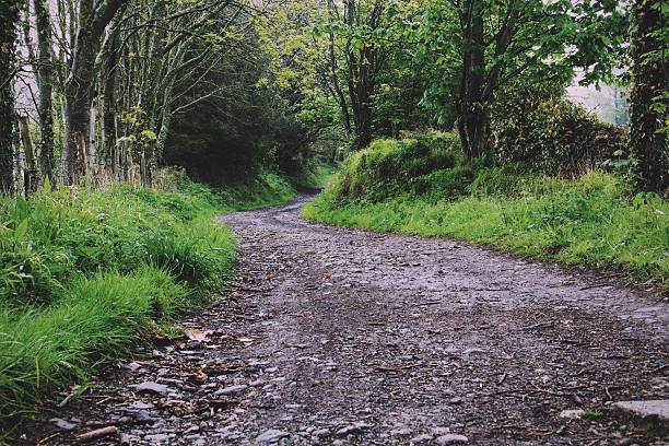 istock Countryside walk with path winding through trees Vintage Retro F 612007388