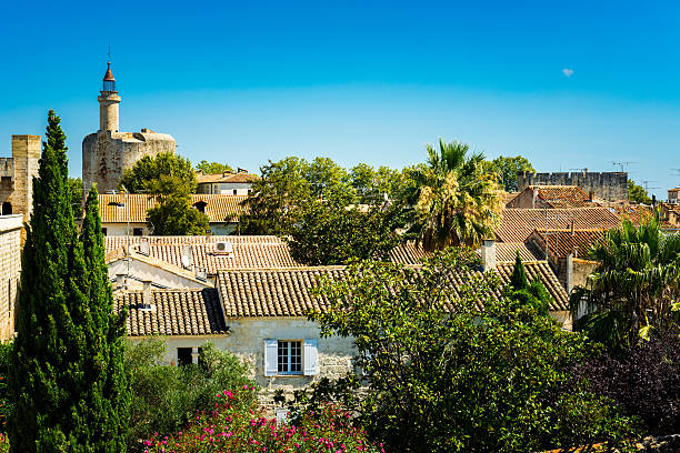 Aigues-Mortes overview with old lighthouse in background