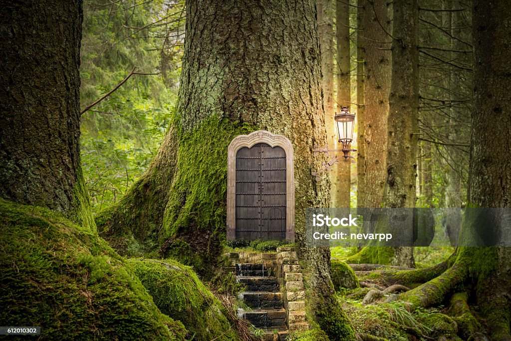 magic mondo fantastico - Foto stock royalty-free di Foresta