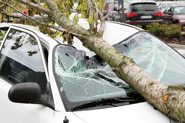 카폰에 손상되었음 - car insurance auto accidents accident 뉴스 사진 이미지