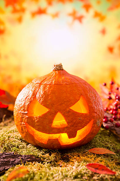 istock Jack O'Lantern in an autumn nature still life 612010776