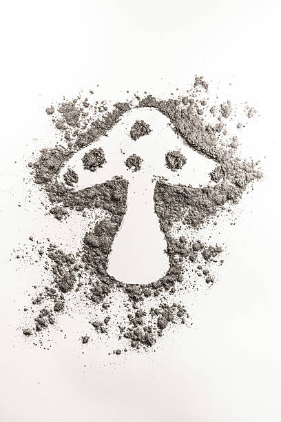 istock Fungus shape drawing in a pile of grey dust, sand 612011414