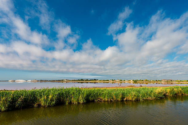saline in Aigues-Mortes