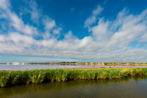 saline in Aigues-Mortes