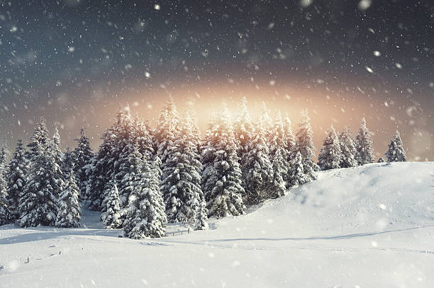 istock Snow blizzard and the sunrise 612018898