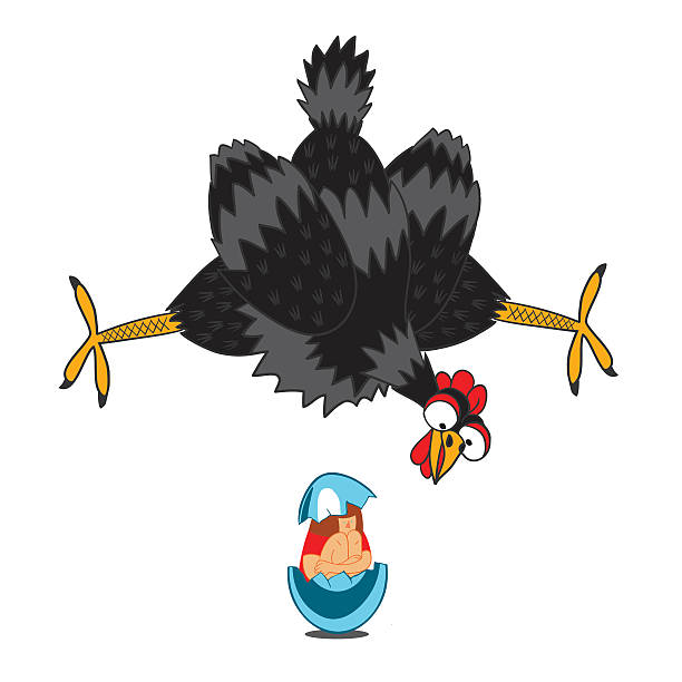 Laying hen laid an egg with a human baby. Funny vector illustration of a handmade comic style. Will serve as images for greeting cards or book illustrations. Can be used for advertising as well as print on a t-shirt scared chicken cartoon stock illustrations