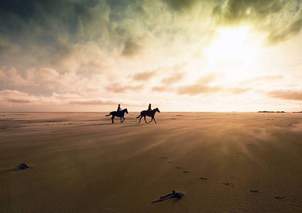 coppia a cavallo di cavalli attraverso sabbie deserte al tramonto - afar desert foto e immagini stock
