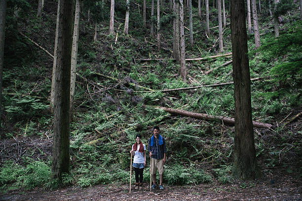 istock Asian Couple Outdoors amongst Tall Trees 612021266