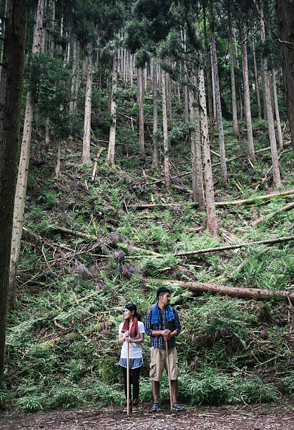 istock Asian Couple Outdoors amongst Tall Trees 612021412