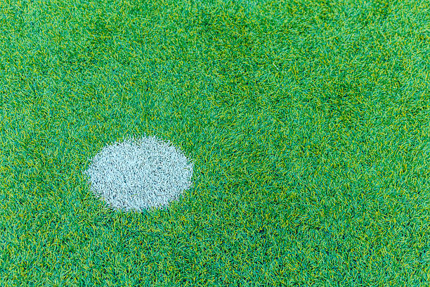 istock The football field with artificial grass 612021508