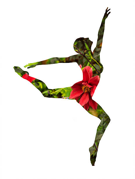 istock Double exposure of classical dancer and beautiful red flower 612024542