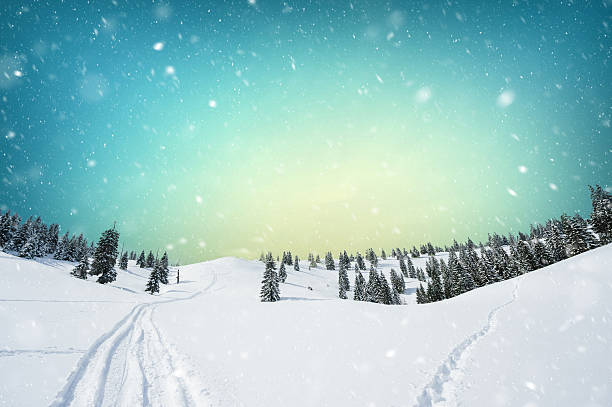 istock Snow blizzard at night in forest 612028316