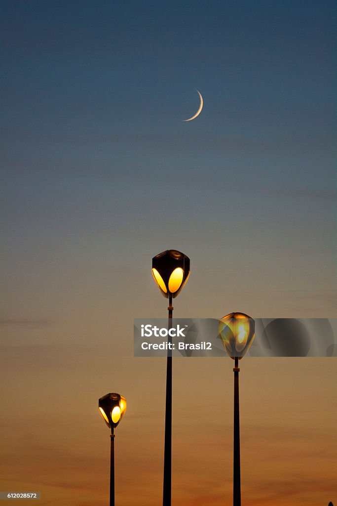 Street lamp and moon A group of street lamps illuminated with the moon Antique Stock Photo