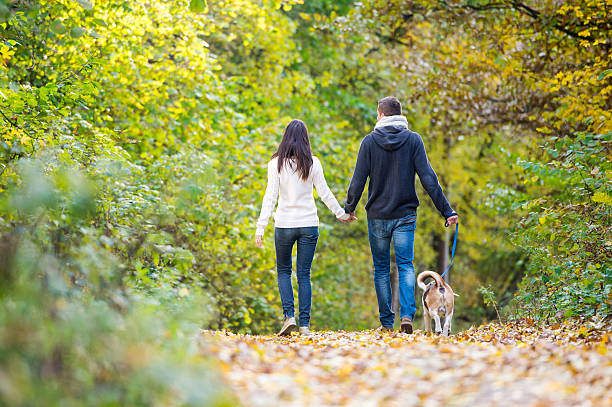 istock Young couple with dog on a walk in autumn forest 612031328