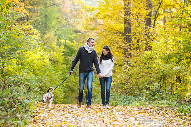 istock Young couple with dog on a walk in autumn forest 612031408