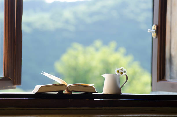 istock Open window - eco, nature or education background. 612226986