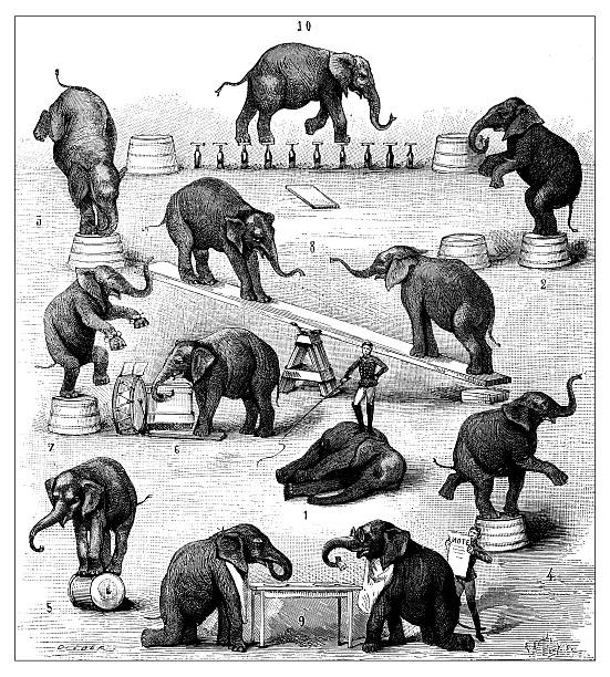 Antique illustration of circus elephant