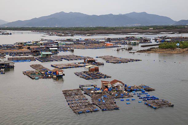 istock Long Son float fishing village, Long Son, Long Hai. 612229448