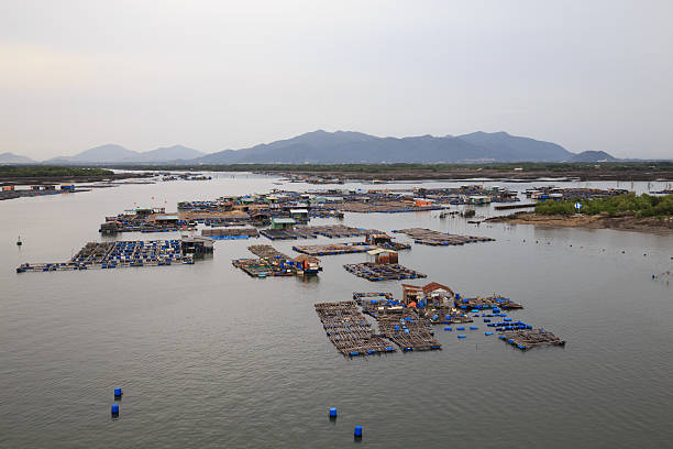 istock Long Son float fishing village, Long Son, Long Hai. 612229712