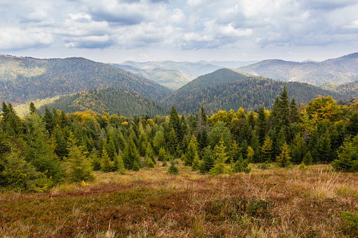Autumn landscape in Carpathian mountains