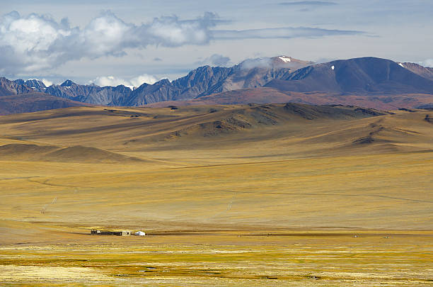 steppe landscape with a nomad's camp - gobi desert imagens e fotografias de stock
