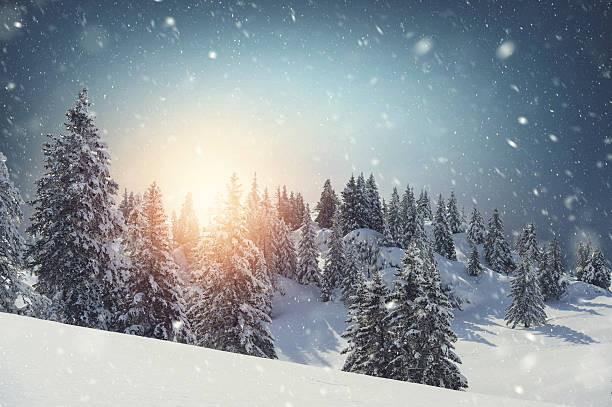istock Christmas time in the mountains 612237470
