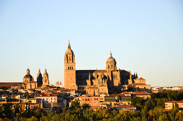 istock Salamanca Cathedral in the Evening (Spain) 612237980