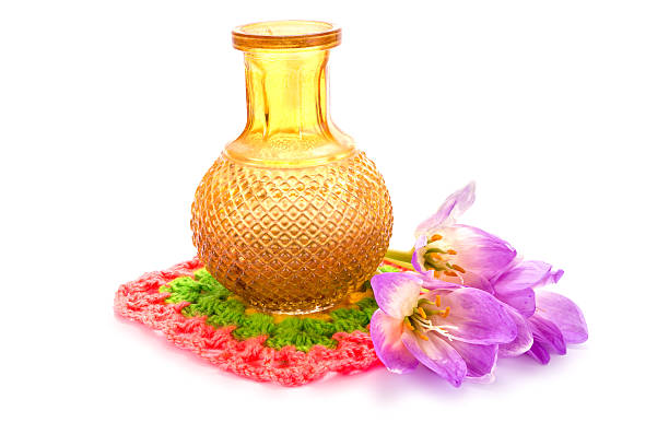 Flower Colchicum flower gorgeous next to a vase isolated on white background