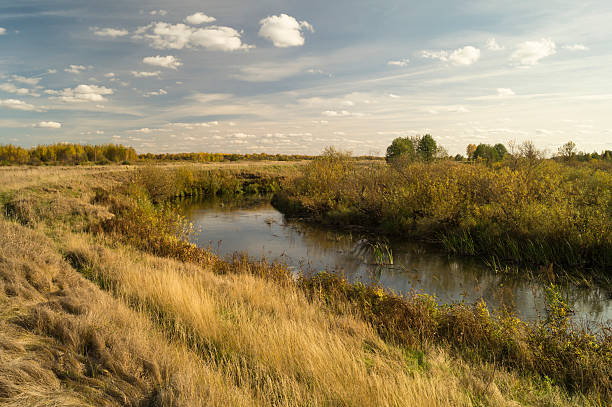 istock Autumn landscape with river on background sky 612239952