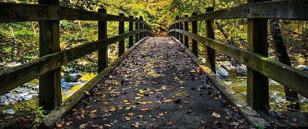 panorama of bridge  with fall-colored leave across a moving creek