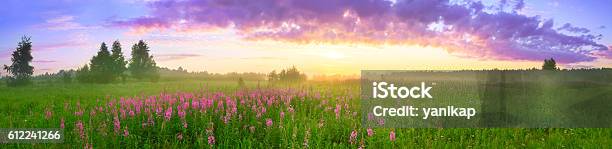 Rural Summer Landscape With Sunrise Stock Photo - Download Image Now - Landscape - Scenery, Flower, Agricultural Field