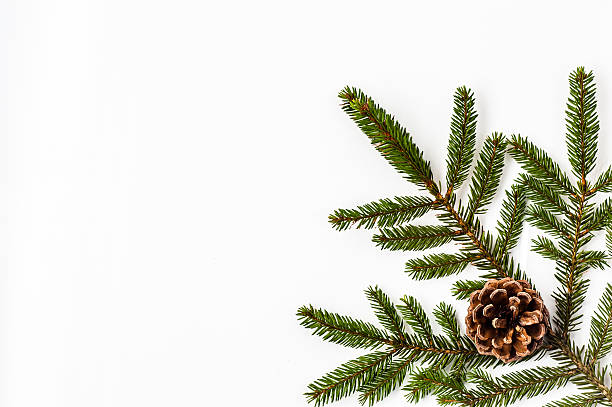 istock Pine cone on Christmas tree branch, decorations. Christmas background. 612241514