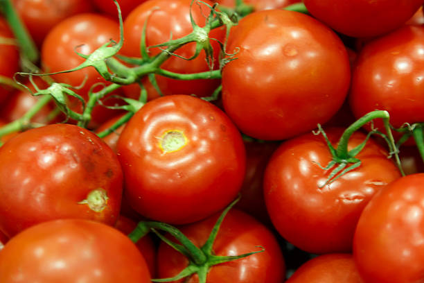 istock background with fresh red tomatoes in market 612241734